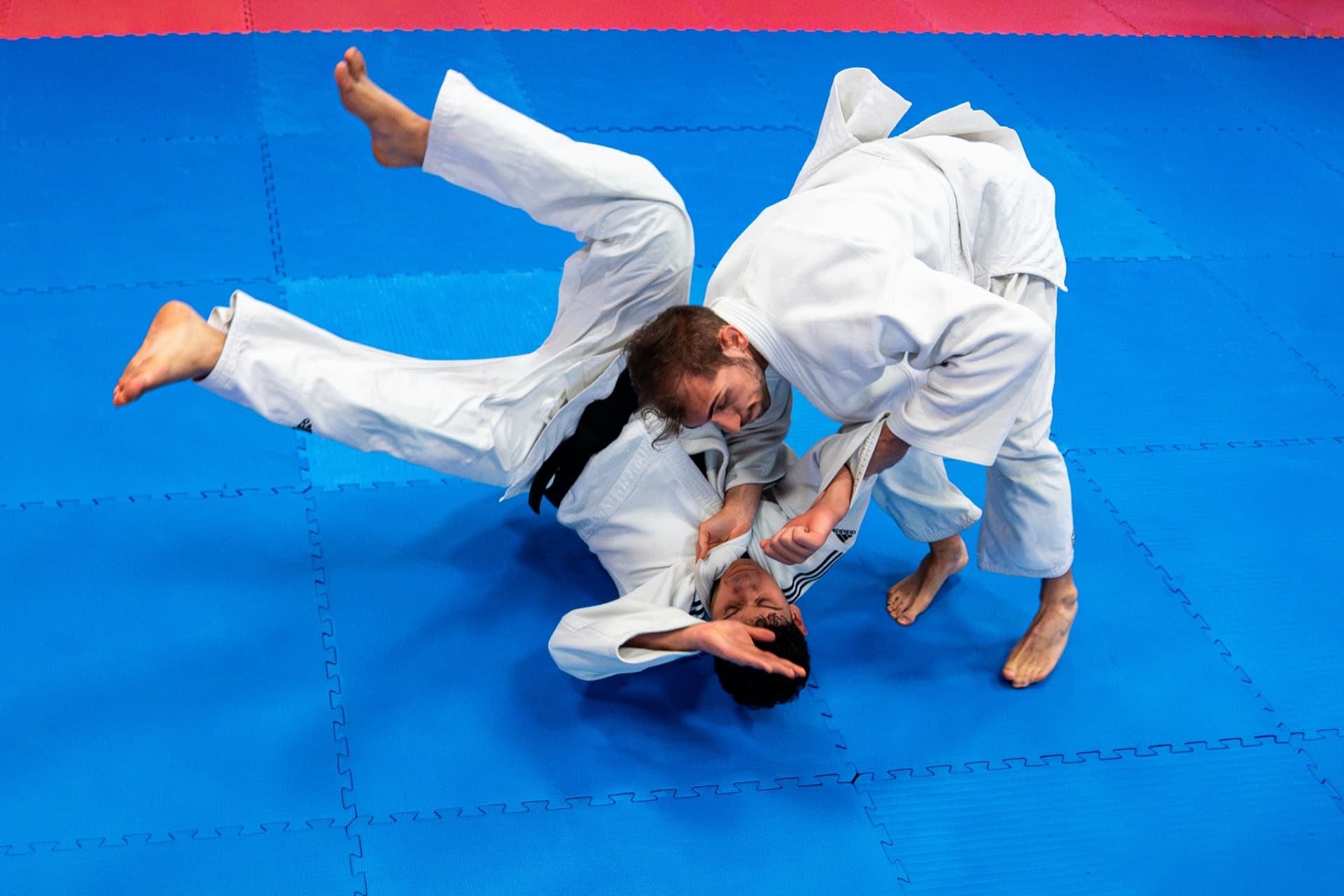 Ryu Judo Club, Vezzano sul Crostolo